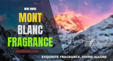 Who Owns the Iconic Mont Blanc Fragrance?
