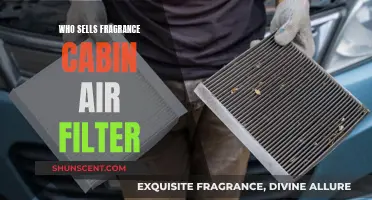 Explore Stores for Your Car's Fragrance Air Filter