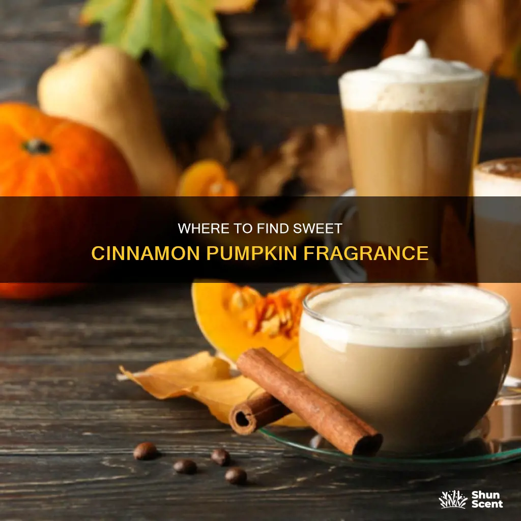 who sells sweet cinnamon pumpkin fragrance