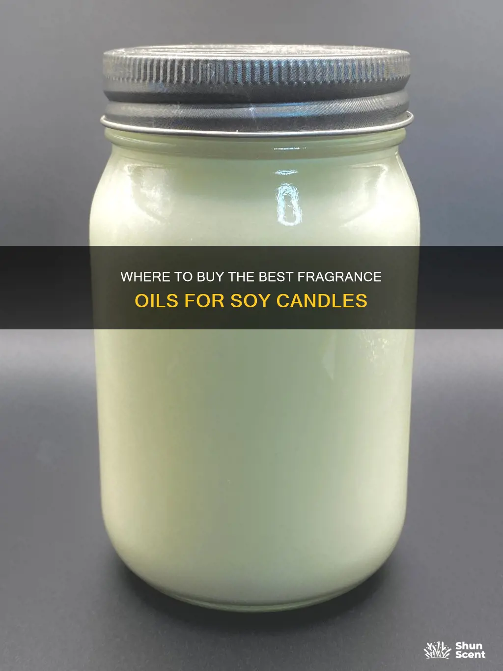 who sells the best fragrance oils for soy candles
