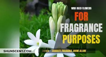 Flowers and Fragrance: Who Used Them and How?