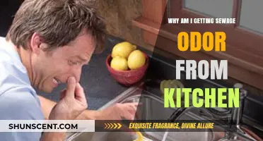Unpleasant Kitchen Odors: How to Identify and Fix Sewage Smells