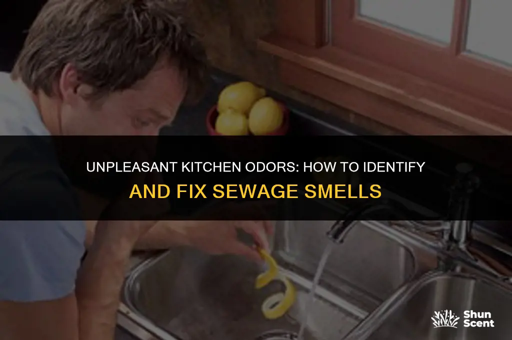 why am i getting sewage odor from kitchen