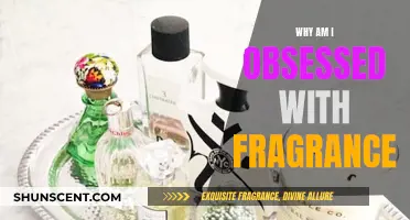 Fragrance Fascination: My Scent Obsession Explained