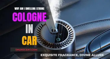 Strong Car Cologne Smell: Why Does It Happen?