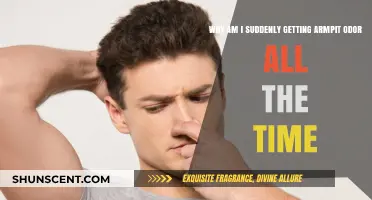 Understanding Persistent Armpit Odor: Causes and Solutions