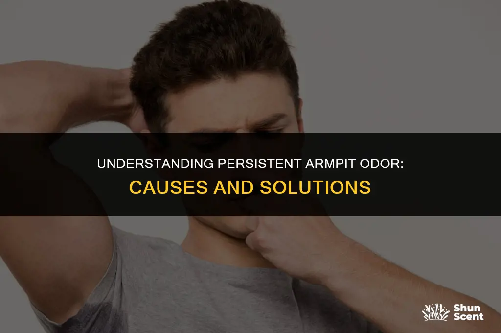 why am i suddenly getting armpit odor all the time