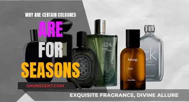 Colognes and Seasons: A Perfect Match