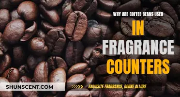 Coffee Beans: Aromatic Intermission for the Nose
