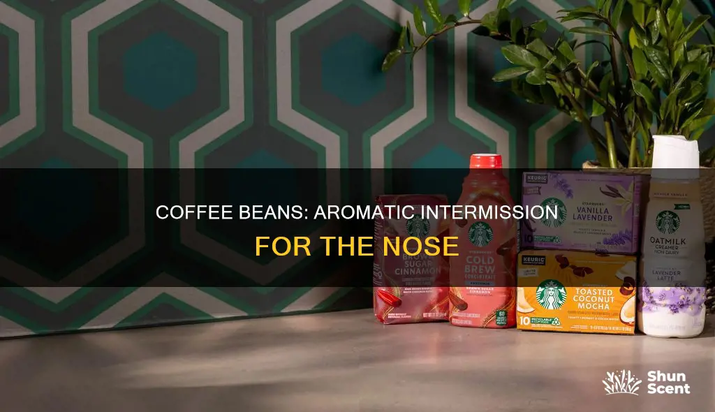 why are coffee beans used in fragrance counters