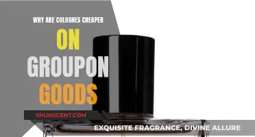 Groupon Goods: Colognes at a Discount