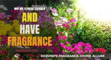 The Evolution of Fragrant, Colorful Flowers: Nature's Artistry