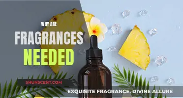The Power of Fragrances: Elevating Your Senses and Wellbeing