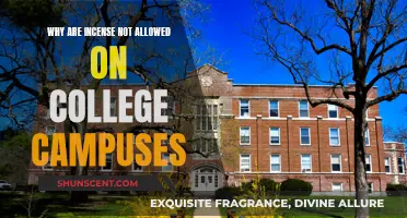 Incense Banned on Campuses: Health and Safety Concerns
