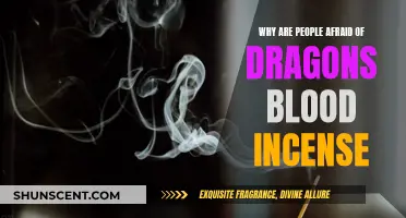 Exploring Dragon's Blood Incense and Its Fear Factor