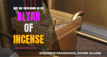 The Significance of Horns on the Altar of Incense