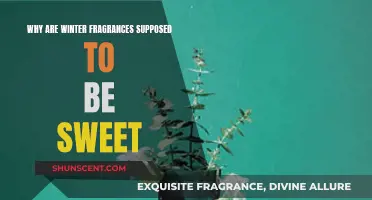 Sweet Scents of Winter: Why Fragrances Turn Sugary