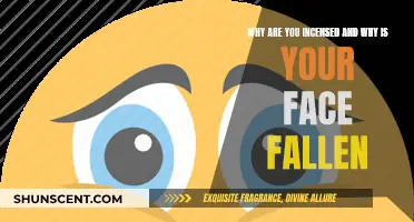 Incensed and Fallen: What's Behind Your Expression?