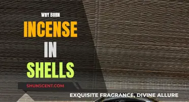 Incense Shells: Enhancing Fragrance and Your Space