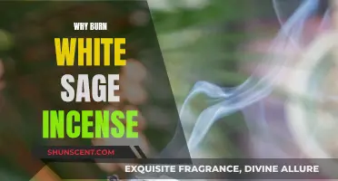 White Sage Incense: Purifying Your Space and Mind