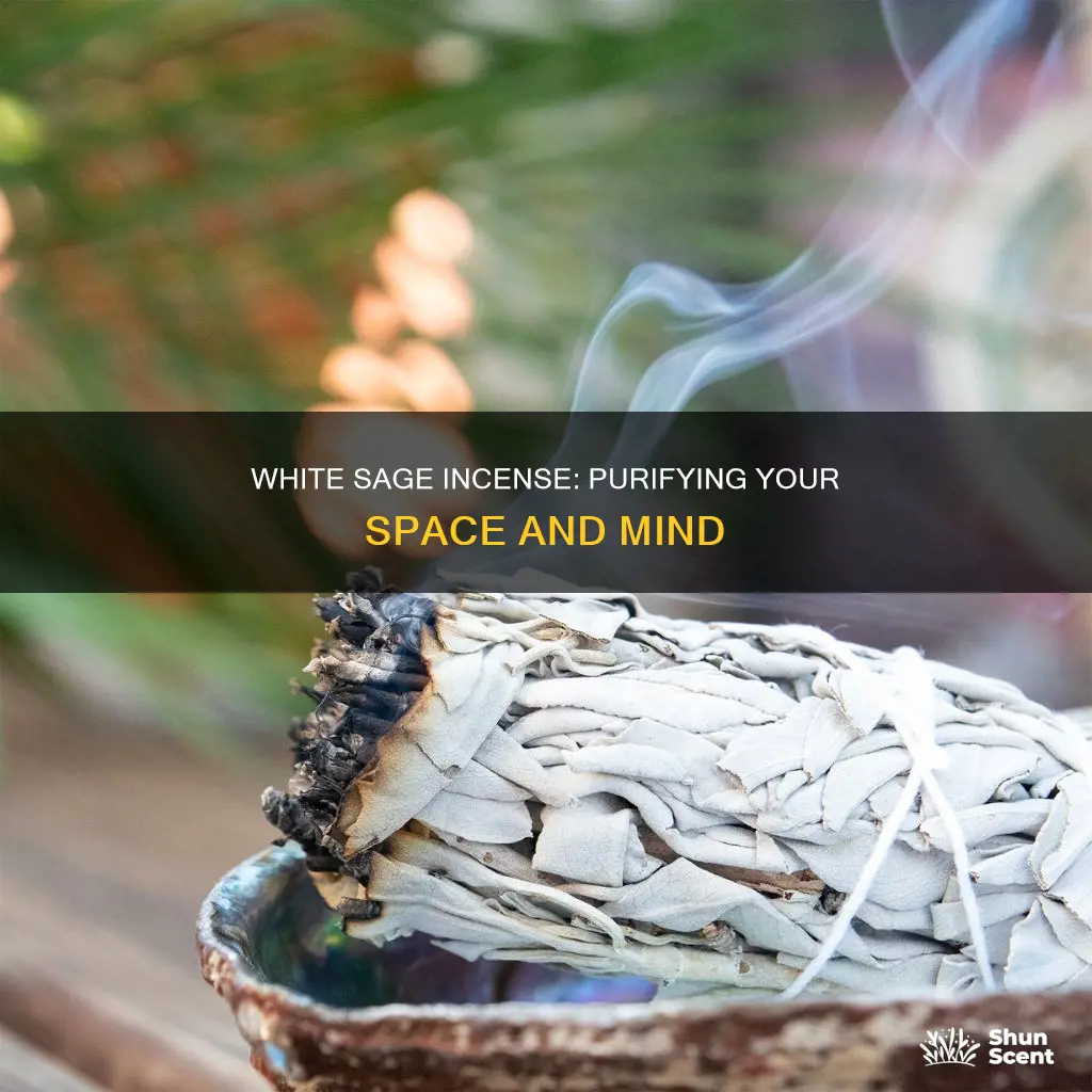 why burn white sage incense