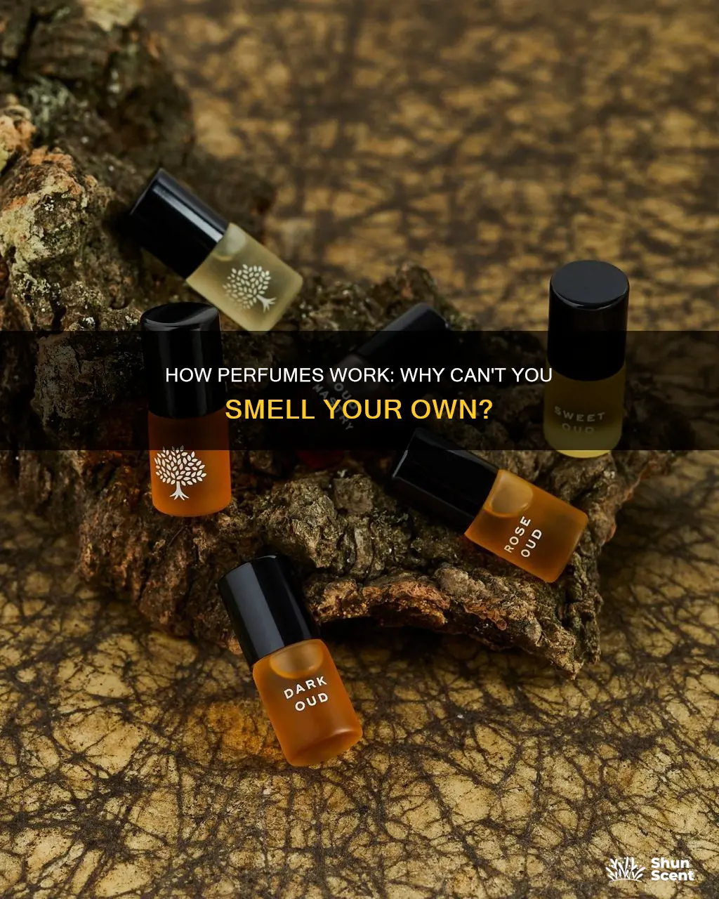 why can t you smell perfume on yourself