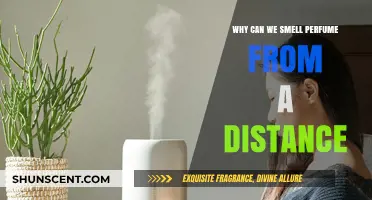 How Perfume Travels: Scent's Reach and Power