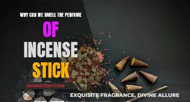 The Magic of Incense: Fragrance and Science