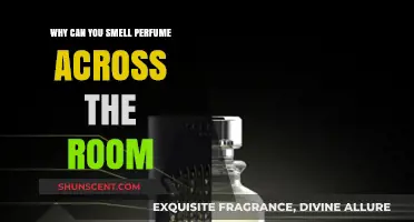 How Perfume Travels: Scent Across the Room