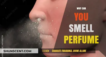 The Science Behind Scents: Why We Smell Perfume