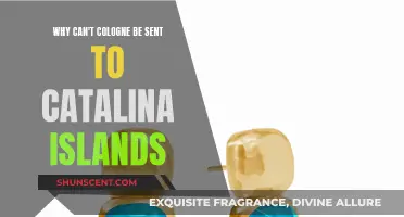 Shipping Scents: Catalina's Cologne Conundrum