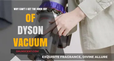 Persistent Odors in Dyson Vacuums: Causes and Solutions Explained
