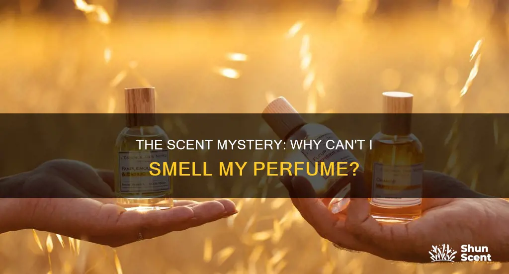 why cant i smell my own perfume