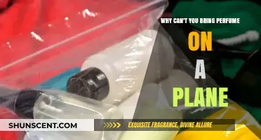 Flying with Fragrance: Understanding Liquid Restrictions