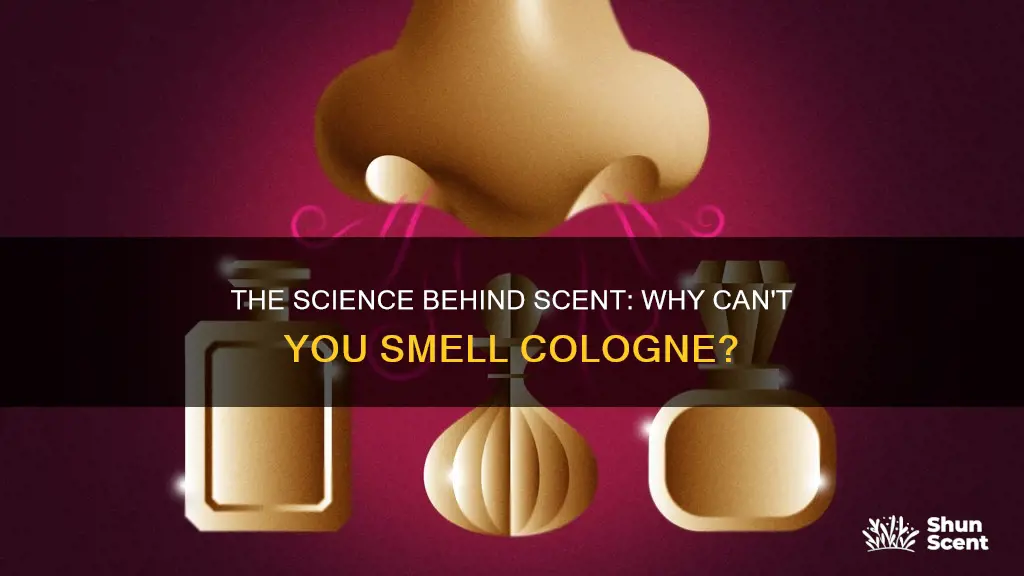 why cant you smell cologne on yourself