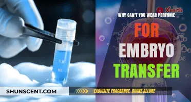 Avoid Perfume for Embryo Transfer: Scent Sensitivity