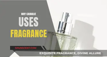 Caudalie's Fragrance Philosophy: Enhancing Skincare Experience
