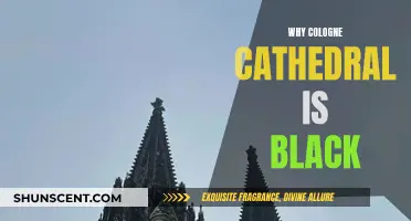 Cologne Cathedral's Darkened Exterior: Why It's Black