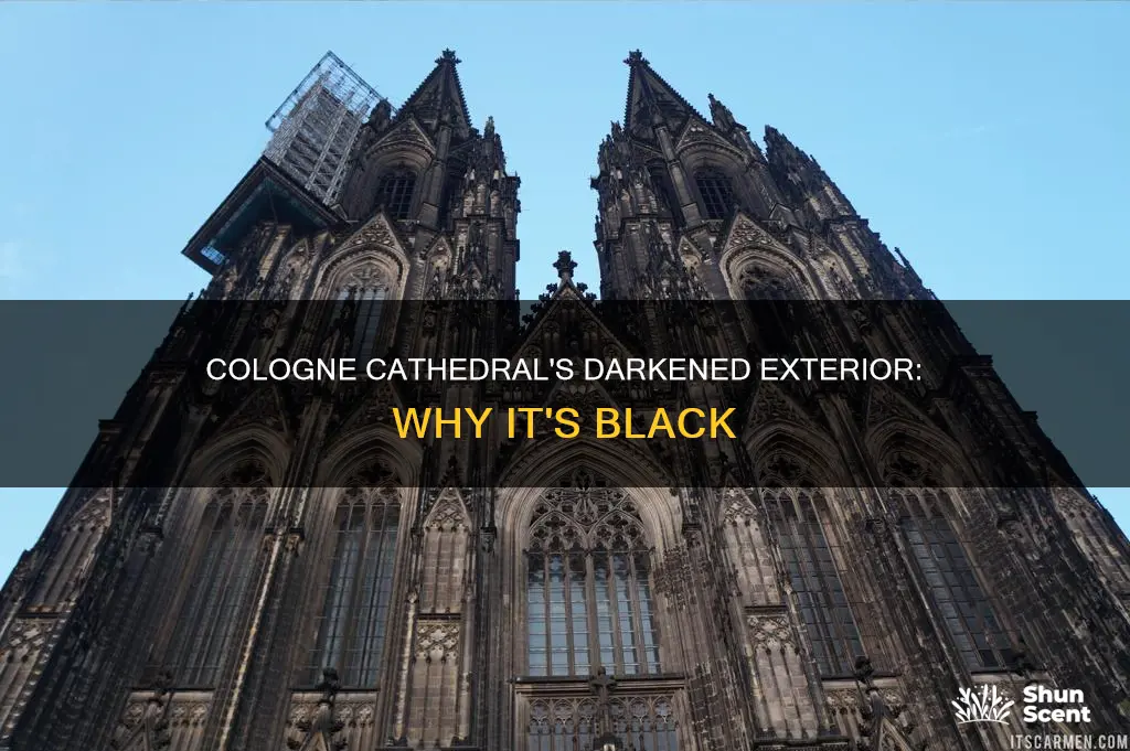 why cologne cathedral is black