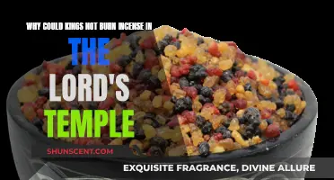 Who Could Burn Incense in the Lord's Temple?
