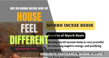 Incense Aromas Transforming Your Home's Ambience
