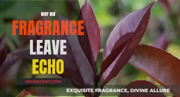 Fragrance's Departure from Echo: Exploring the Reasons