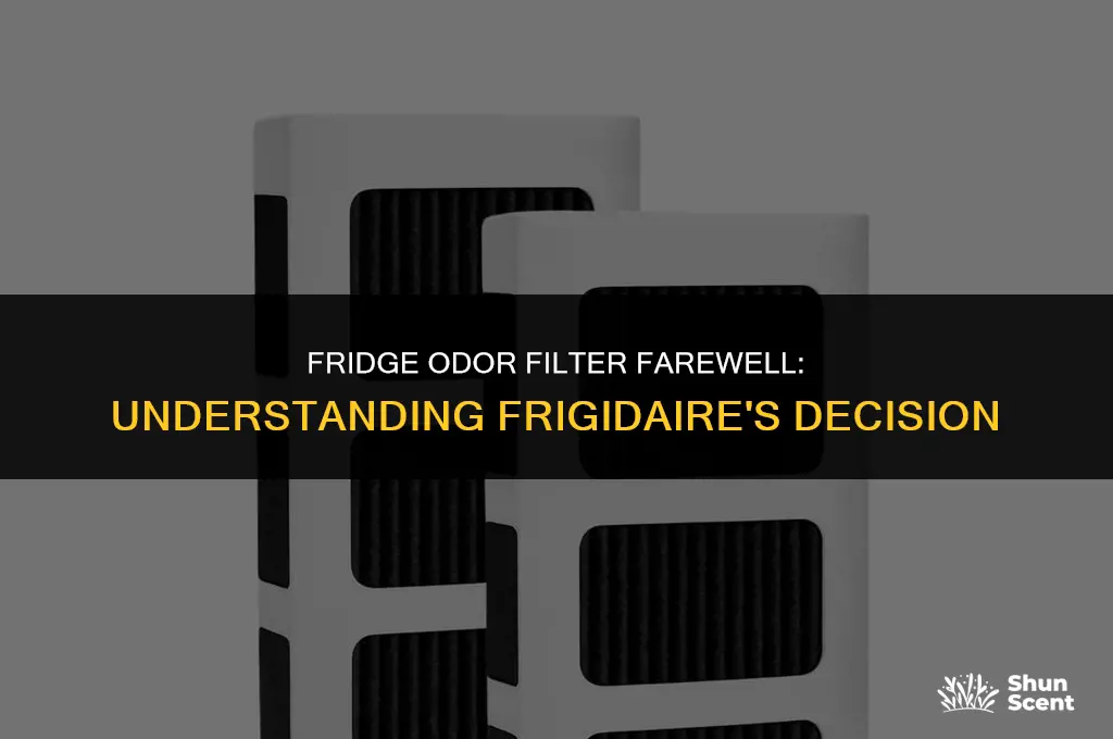 why did fridgetar get rid of their odor filter