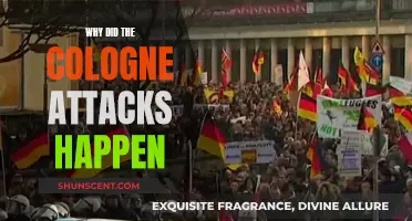 Cologne Attacks: Understanding the Reasons Behind the Violence