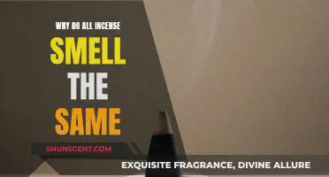 Incense Scents: Why Do They All Smell Similar?