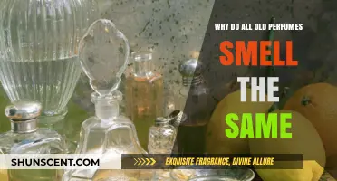The Mystery of Vintage Perfumes: Why Do They All Smell Similar?