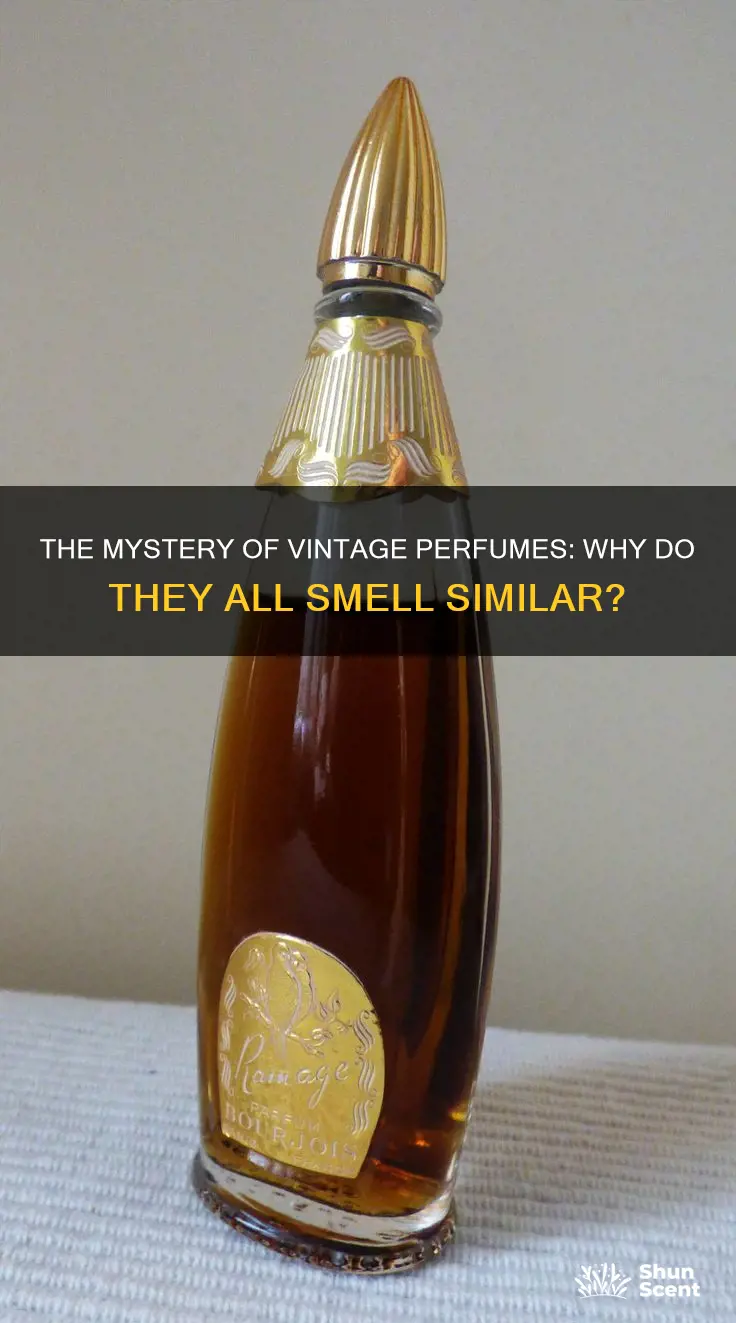 why do all old perfumes smell the same