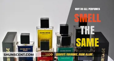 The Art of Perfumes: Why Do They All Smell Similar?