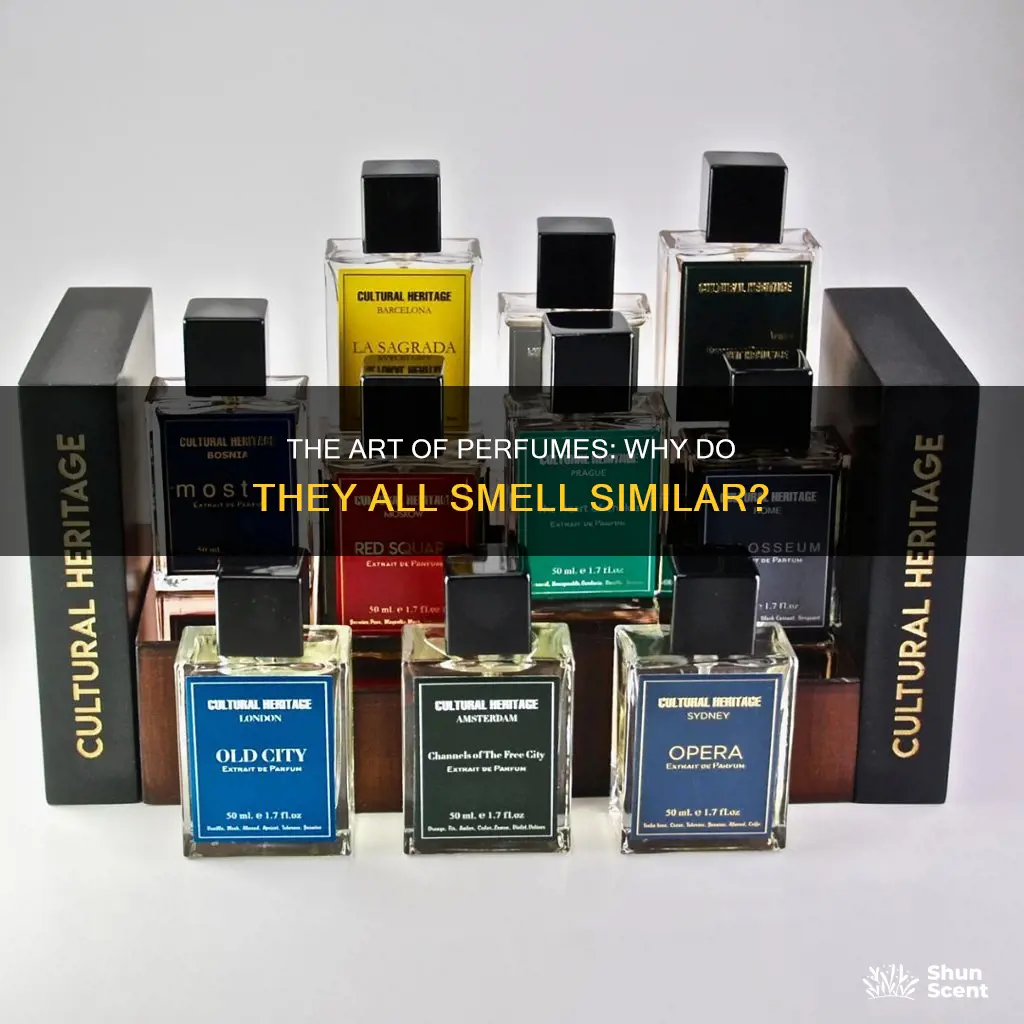 why do all perfumes smell the same