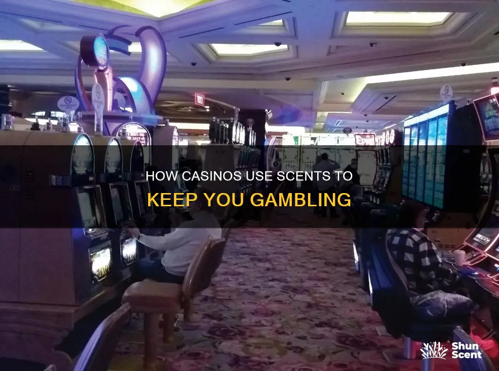 why do casinos smell like perfume